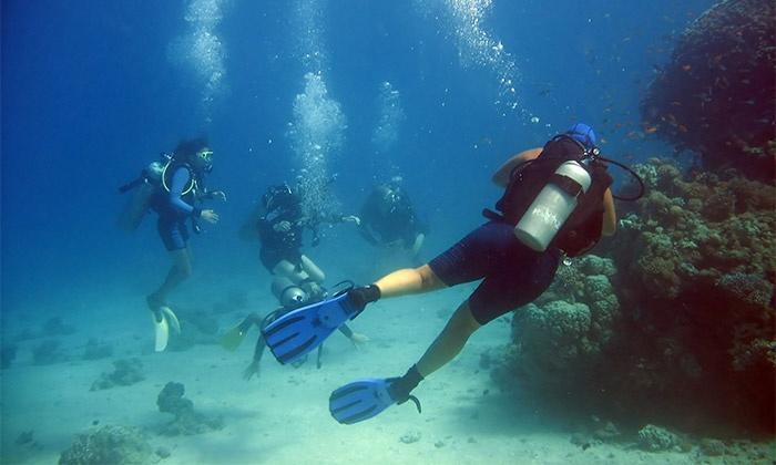 14 Bahía Playa Almadraba Daire Alicante Dış mekan fotoğraf